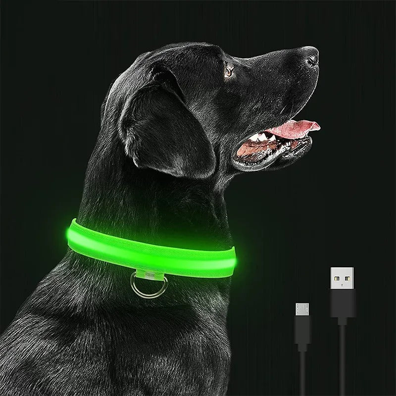 LED Glowing Dog Collars Eco Friendly Rechargeable Waterproof Luminous Night Light Safety Necklace