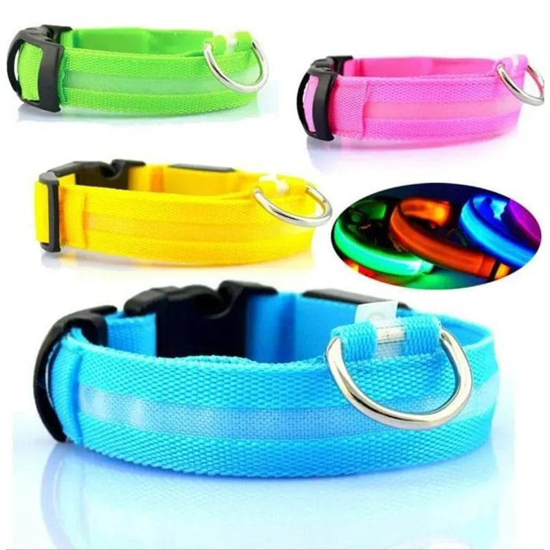 LED Glowing Dog Collars Eco Friendly Rechargeable Waterproof Luminous Night Light Safety Necklace