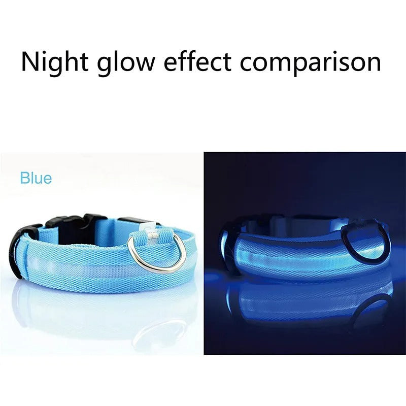 LED Glowing Dog Collars Eco Friendly Rechargeable Waterproof Luminous Night Light Safety Necklace