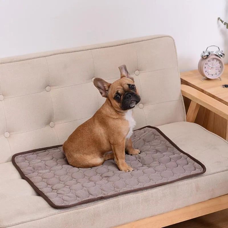 Pet Cooling Mats