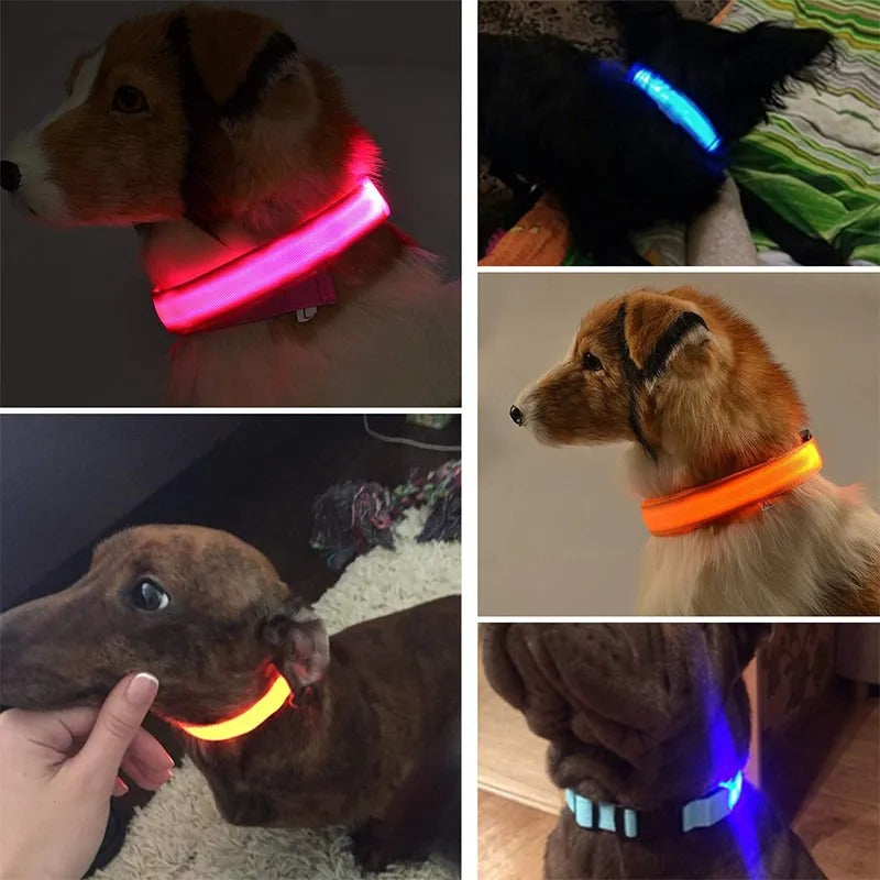 LED Glowing Dog Collars Eco Friendly Rechargeable Waterproof Luminous Night Light Safety Necklace